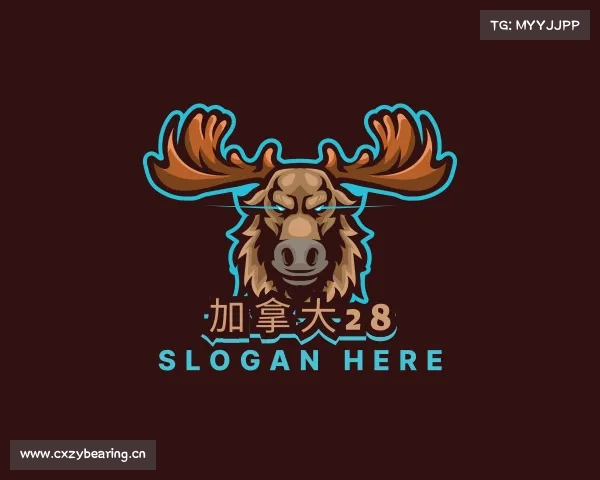 关于加拿大28